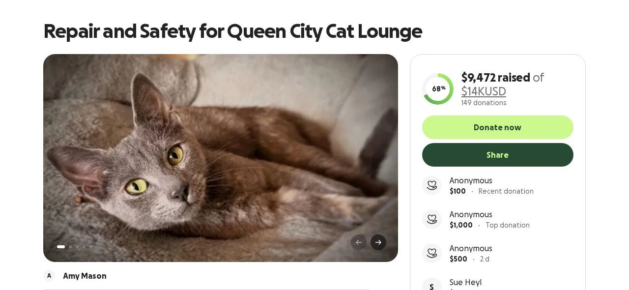 Screenshot of the Repair and Safety for Queen City Cat Lounge campaign page on GoFundMe