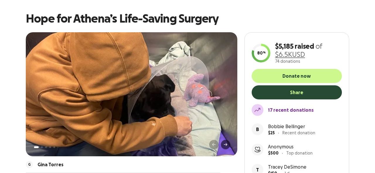 Screenshot of the Hope for Athena's Life-Saving Surgery campaign page on GoFundMe