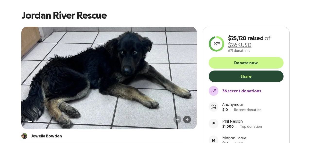 Screenshot of the Jordan River Rescue campaign page on GoFundMe