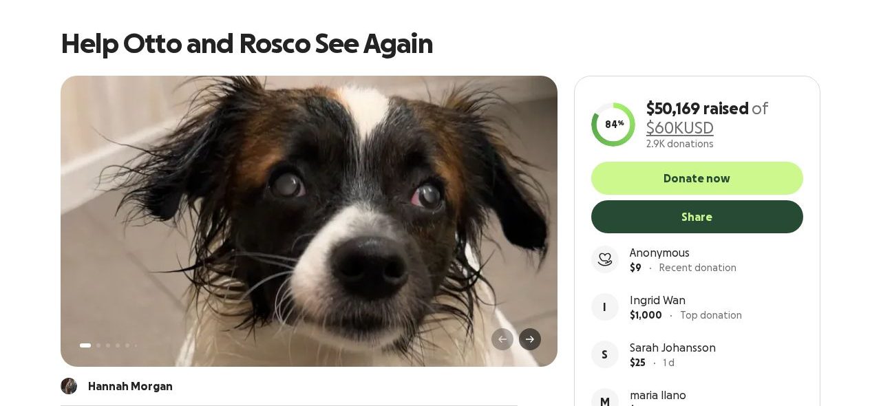Screenshot of the Help Otto and Rosco See Again campaign page on GoFundMe