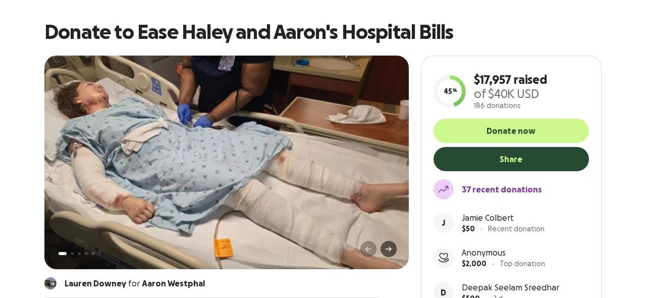 Screenshot of the Donate to Ease Haley and Aaron's Hospital Bills campaign page on GoFundMe