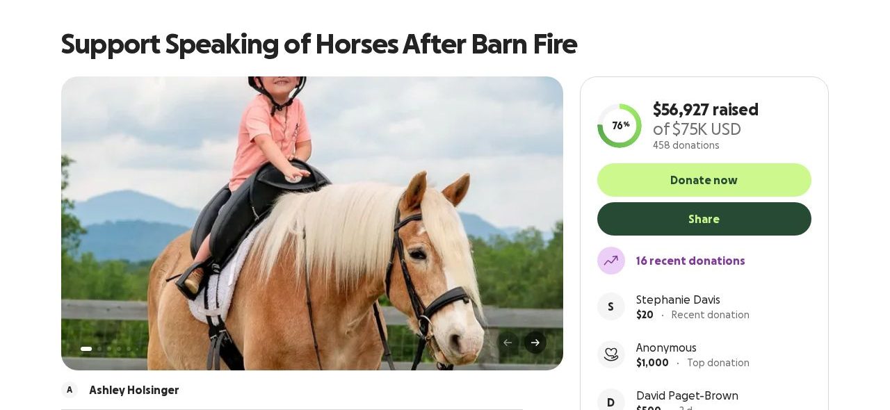Screenshot of the Support Speaking of Horses After Barn Fire campaign page on GoFundMe