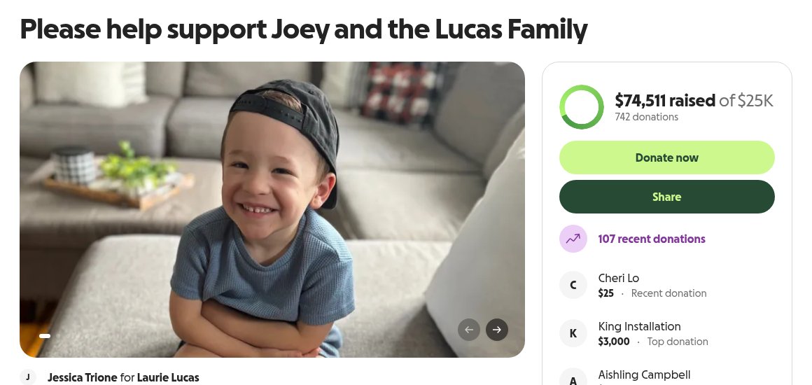 Screenshot of the Please Help Support Joey and the Lucas Family campaign page on GoFundMe