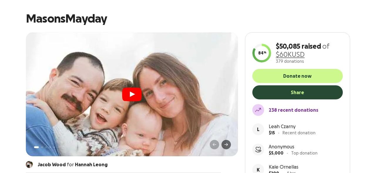 Screenshot of the MasonsMayday campaign page on GoFundMe