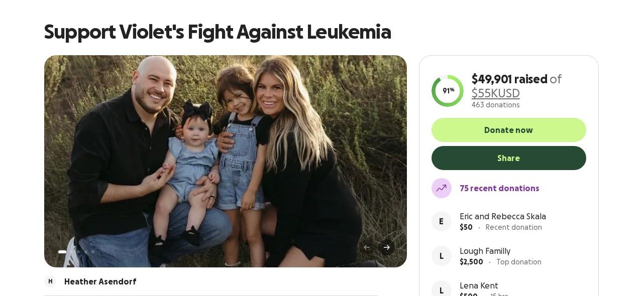 Screenshot of the Support Violet's Fight Against Leukemia campaign page on GoFundMe