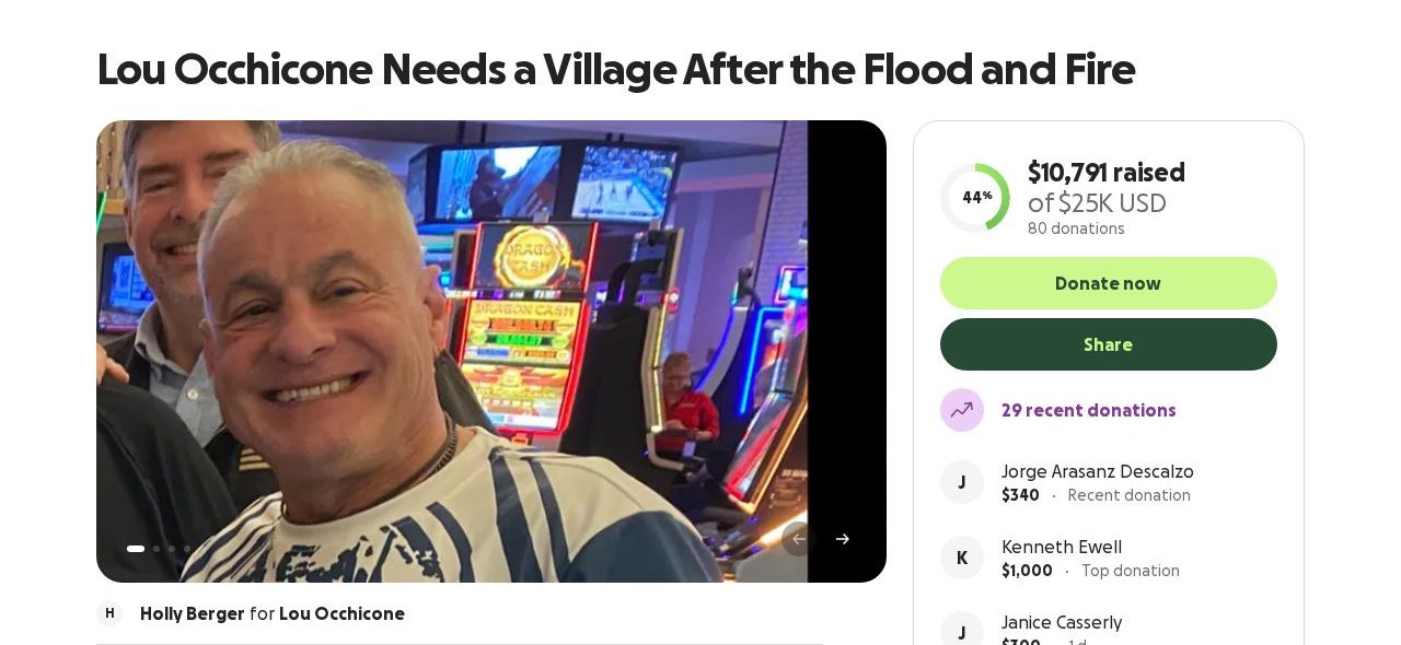 Screenshot of the Lou Occhicone Needs a Village After the Flood and Fire campaign page on GoFundMe