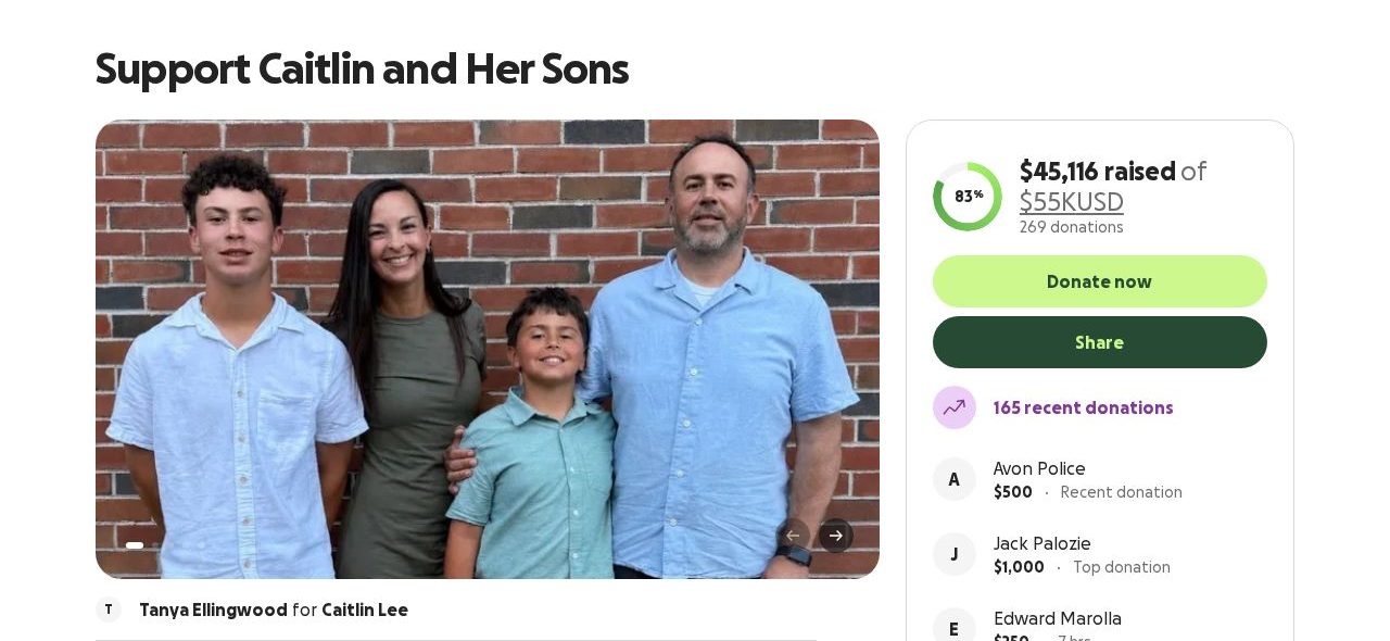 Screenshot of the Support Caitlin and Her Sons campaign page on GoFundMe